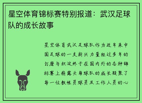 星空体育锦标赛特别报道：武汉足球队的成长故事